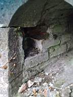 shannonbridge cap-1738.jpg